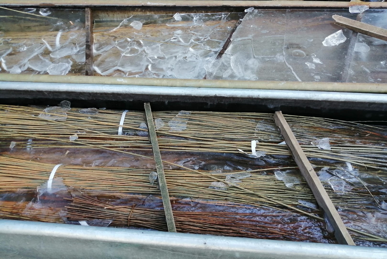 How to soak brown willow