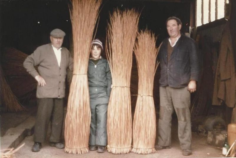 Somerset willow growers