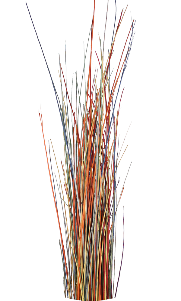 Coloured willow