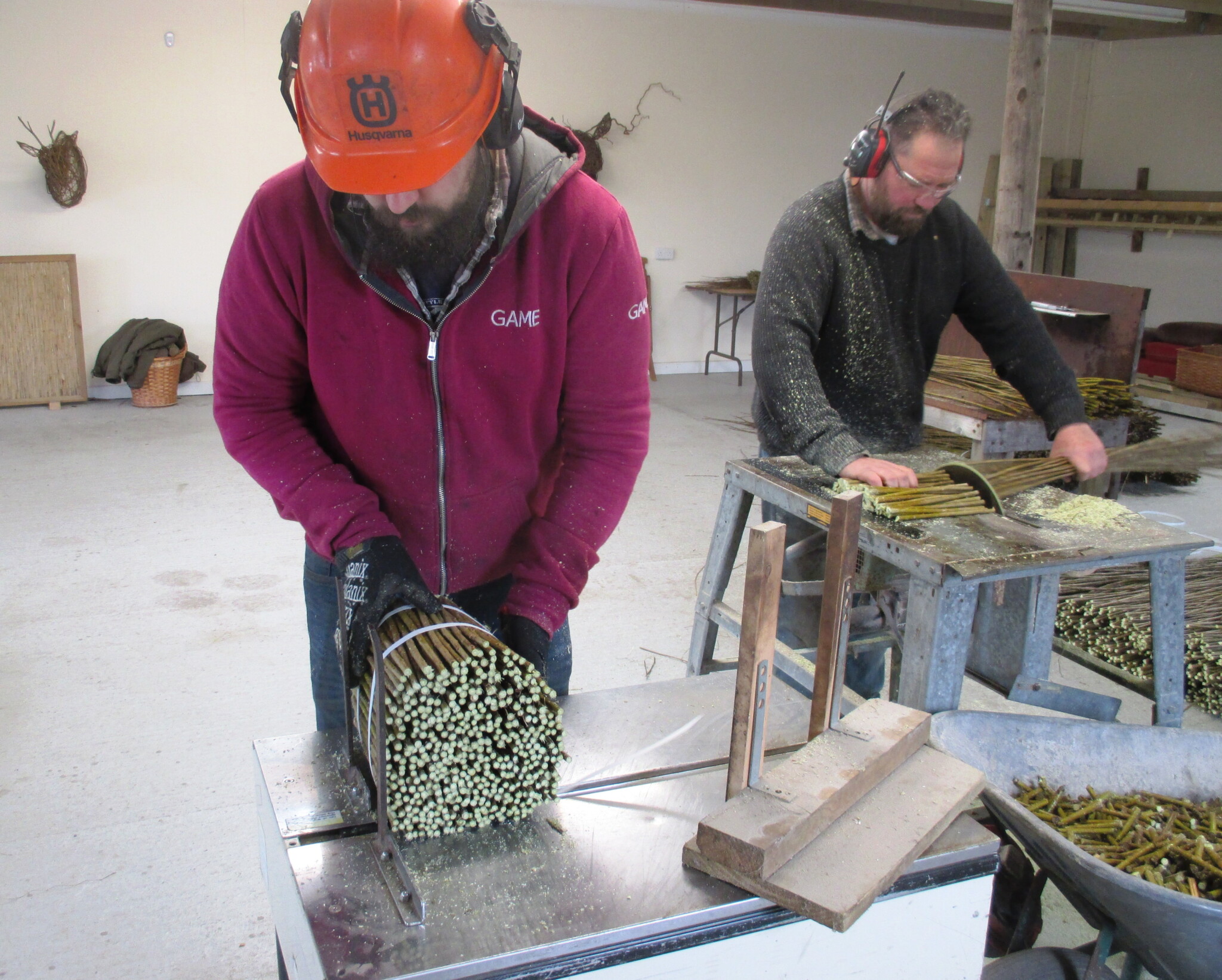 Planting willow cuttings Musgrove Willows in Somerset