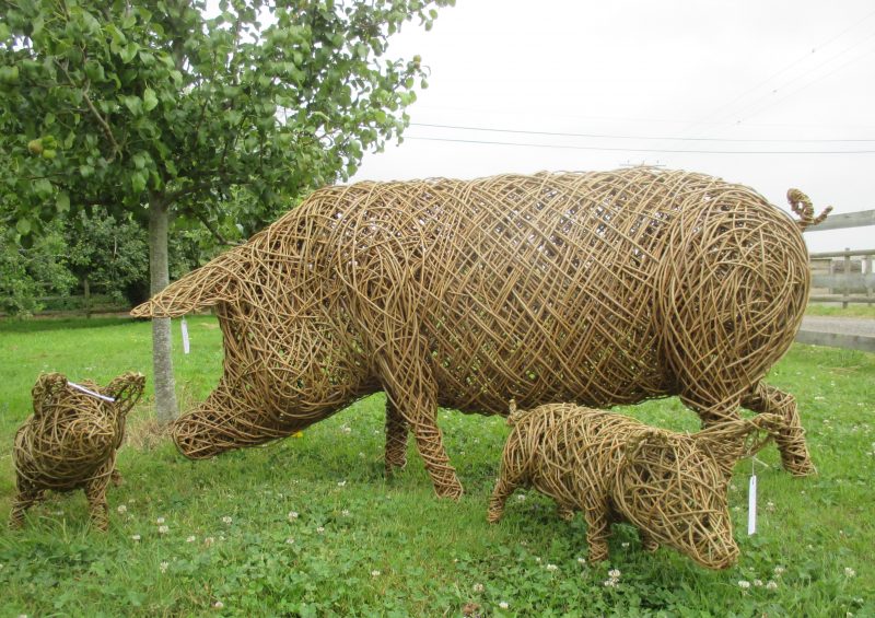 Willow pigs