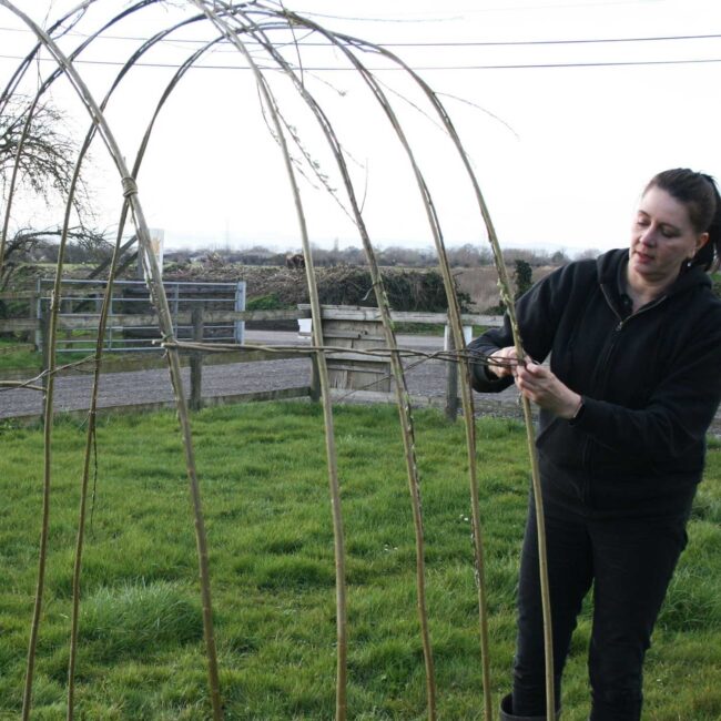 Living willow tunnel kit | Musgrove Willows, Somerset