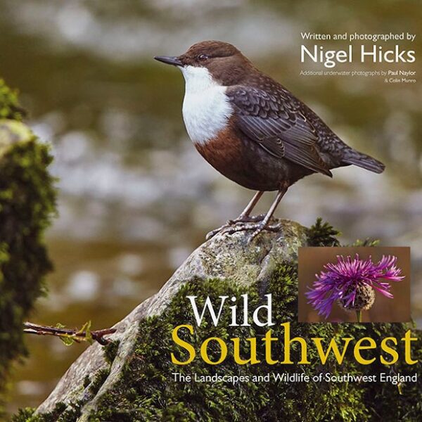 Wild Southwest by Nigel Hicks