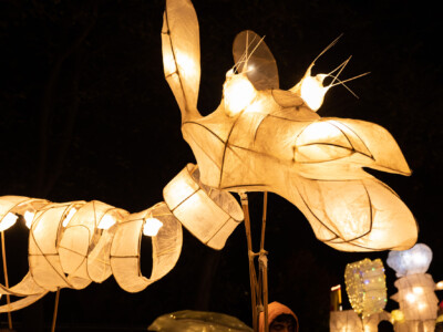 Natural willow lantern sculptures