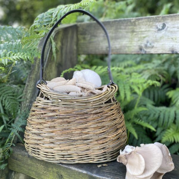 foraging basket
