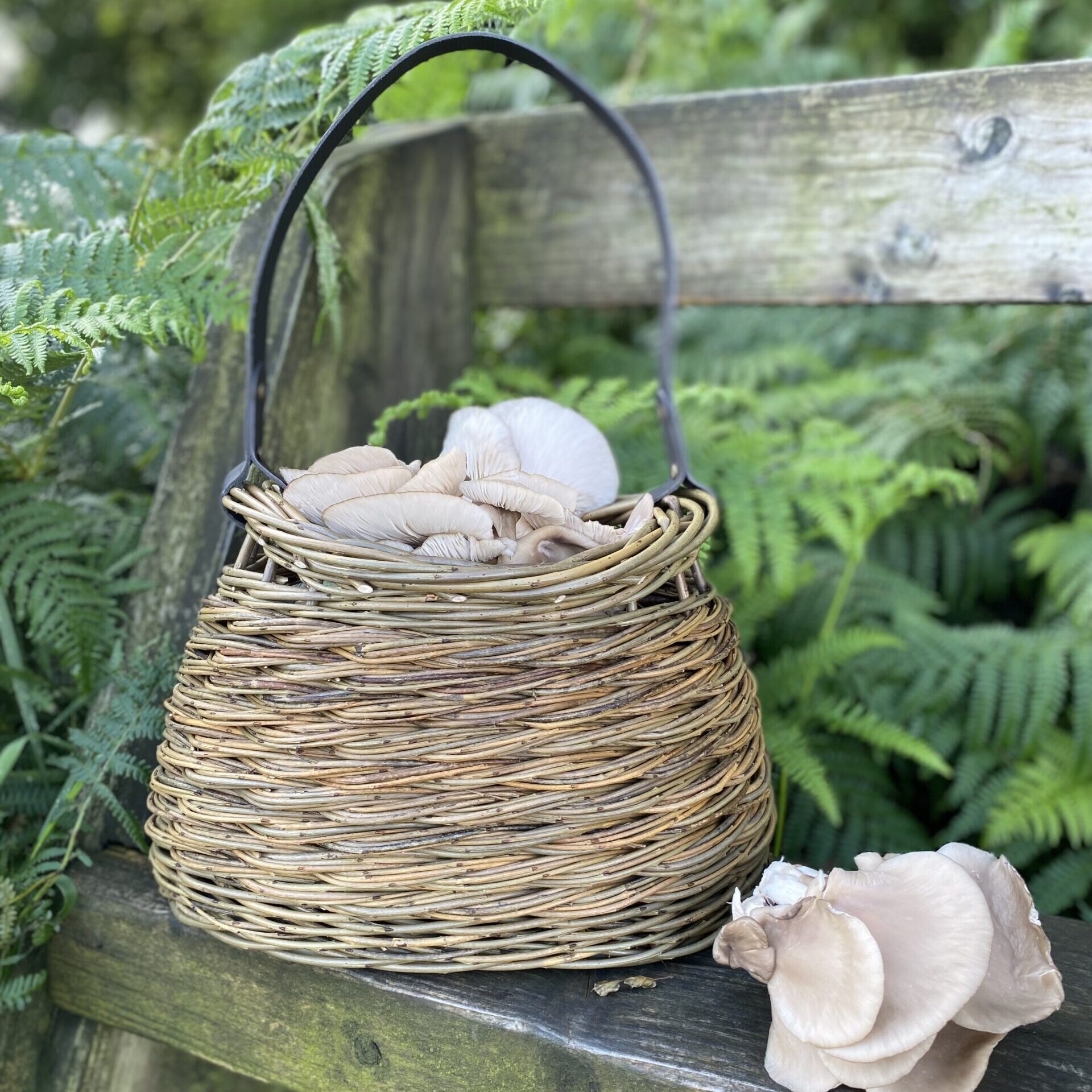 foraging basket