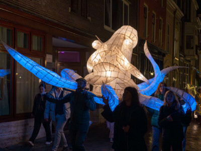 Hand made willow lantern sculptures